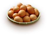 地鶏の卵