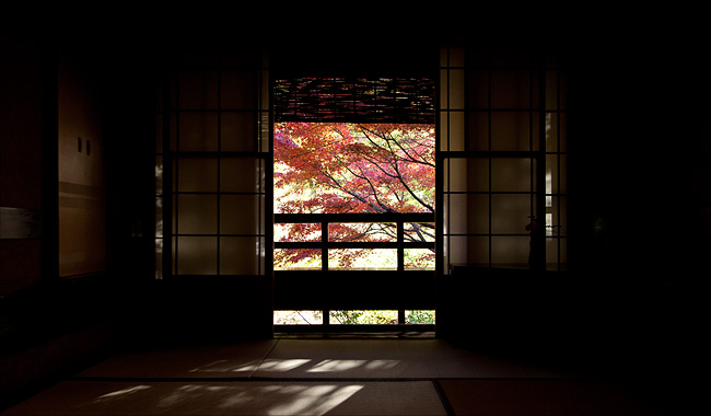 本館/和室から外の紅葉の風景